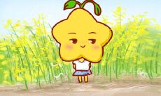 这个星座永不言败：不屈不挠的精神带来无尽挑战的挑战！