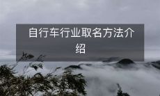 探索自行车行业中品牌命名的奥秘：揭秘自行车品牌起名的技巧和方法