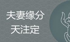 夫妻的缘分长短,是由命运所注定还是取决于他们自身的选择和努力呢?