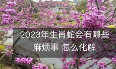 在2023年,如果你是生肖蛇,你可能会面临哪些麻烦,以及如何有效解决它们?