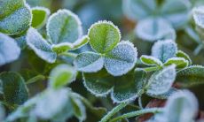 出生在雨水节气的宝宝如何起名?雨水节气下的婴儿命名小窍门!