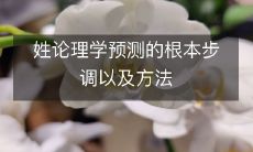 揭示姓论理学预测的本质步骤及探索其应用方法的研究