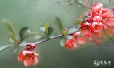 如何通过八字算命来预测子女的信息,了解免费算命技巧、孩子的命运变化及未来趋势