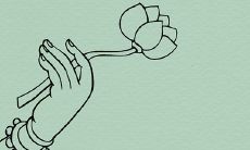 怀孕的女性中有哪些与生育有关的特征,以及这些特征如何影响他们和他们的孩子的健康和福利?