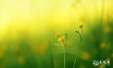 算个人姻缘无需花费的时间到了！最新、最全、最免费的姻缘测试攻略全揭秘！