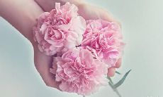 卯戌合化火成功的作用及其在化工生产中的应用——卯戌合化火的定义解析