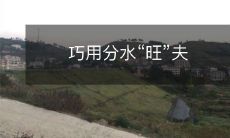 如何通过巧妙地使用分水岭技巧来提高自己的影响力,从而影响丈夫的行为和决策?