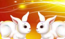 属兔的人出生于农历3月,命运如何?