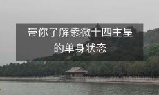 深入探究紫微十四主星单身状态的全面解析