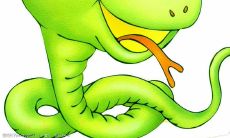 如何利用风水学提升2023年属蛇人爱情运:探讨最佳桃花方位及应对策略