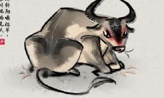 2021年8月的黄道吉日剖宫产详解:为你解析最佳日期选择!