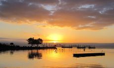 2022年壬寅年的五行属性:水旺还是木旺?