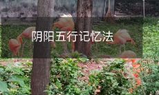 如何利用阴阳五行记忆法来提升记忆能力和加深对自然界规律的理解？