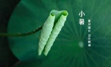 立冬时节是否适合开业？开业前应注意什么细节？