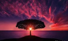 揭秘两位食神和一位正官的喜好和厌恶特征:了解食神吃什么、不吃什么,让你FLAT掉!