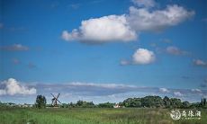 为何拥有两位食神的人命运普遍较佳:探究两位食神如何能够为人带来好运?