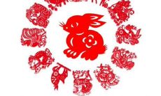 2023年7月出生的生肖兔，其命运道路上将迎来怎样令人惊喜的变化？