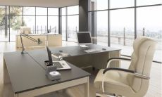 与数量推荐及风水考量:如何为总经理办公室精心选择合适的绿植,以达到最佳装饰效果、提升办公环境舒适度、吸收有害气体、增加负离子,并且符合风水之理?