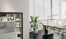 提升办公室风水,选择哪些适宜摆放在大门口的风水植物能够助力增强工作效率和员工士气?