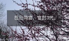 在同一皇宫内，三代皇帝都由同一家族被授予官职