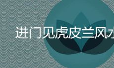 在风水学中,进门就见到虎皮兰,它的摆放有三个禁忌,你知道吗?