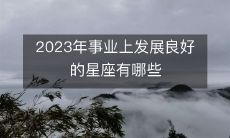 探究2023年事业发展祥瑞的星座及其特征,哪些星座将能够在职场中崭露头角?