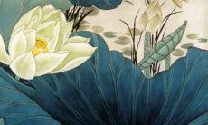 请您注意室内装饰中挂荷花画的注意事项及有哪些相关禁忌?