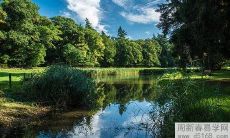 布局，让财运旺旺旺！