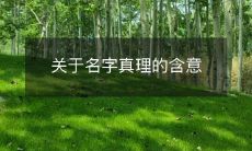 探究名字真相的启示——关于名字所含有的深层意义
