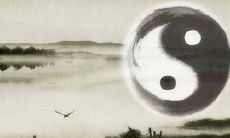 哪些星座拥有在情商和智商方面天然较高的优势?