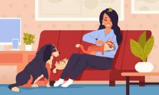 相貌特征:具有鸡嘴耳的个体的性格特质论述