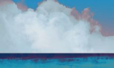 2023年兔年正月份出生的宝宝是否具备丰富的情感世界?