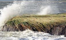 在人生旅途中遭遇磨难的人,是大修行之士,而经历坎坷则是转运的前兆