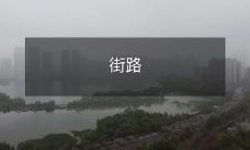 上的行人和车辆互动:步行者、自行车骑行者、摩托车骑手和汽车司机都必须遵守的社会规范与道德准则!