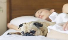 为什么睡觉时一定要避免将头朝北，因为这可能会影响你的睡眠质量和健康状态？