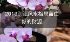 如何避免2013年风水格局对财源的影响并取得成功?