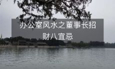 办公室风水指南：董事长必须遵循的招财八宜忌原则