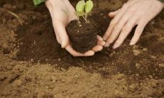 男性背部痣的影响及其解析：深度剖析男士后背痣的特点和意义