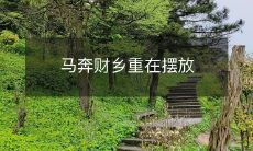 如何正确摆放马奔财乡并保持其幸运效果？