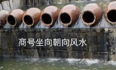 为生意增加兴旺气场,商号摆放坐向如何应用风水学术,成为实现商业成功的关键