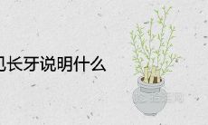 女人在梦中发现自己有长牙,这是什么象征?