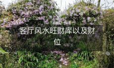 如何在客厅布置风水旺财的财库以及确定财位?