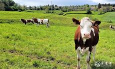 购房指南:73年属牛人住3楼的注意事项,为您解答买房时的疑惑