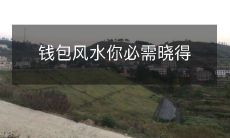 小心钱包风水！了解这些重要的财运知识！