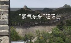 紫气东来,使阳台更旺盛!