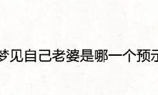 说梦话:做梦中想象自己的妻子是哪一个人会有怎样的预示?
