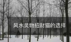 如何正确选择风水灵物来吸财运:招财猫选购指南