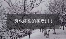 探究风水如何影响买卖——从环境布局到能量流动的影响力（上篇）