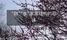 「财」和「水」如何影响家居结构:设计与摆放的忌讳与注意事项