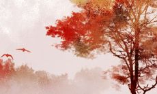 2023年正月诞生的兔宝宝:预示着未来的美好,一生谱写发展惊艳之路!